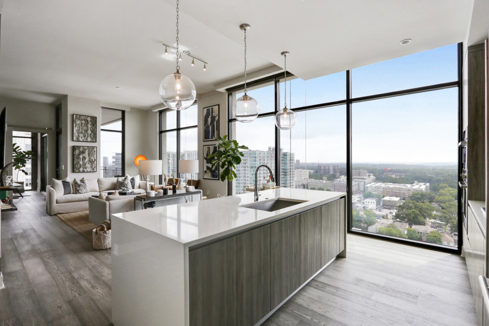Curated visual reference: The Sutton Buckhead Penthouse Transitional Kitchen Atlanta Photo Inspiration