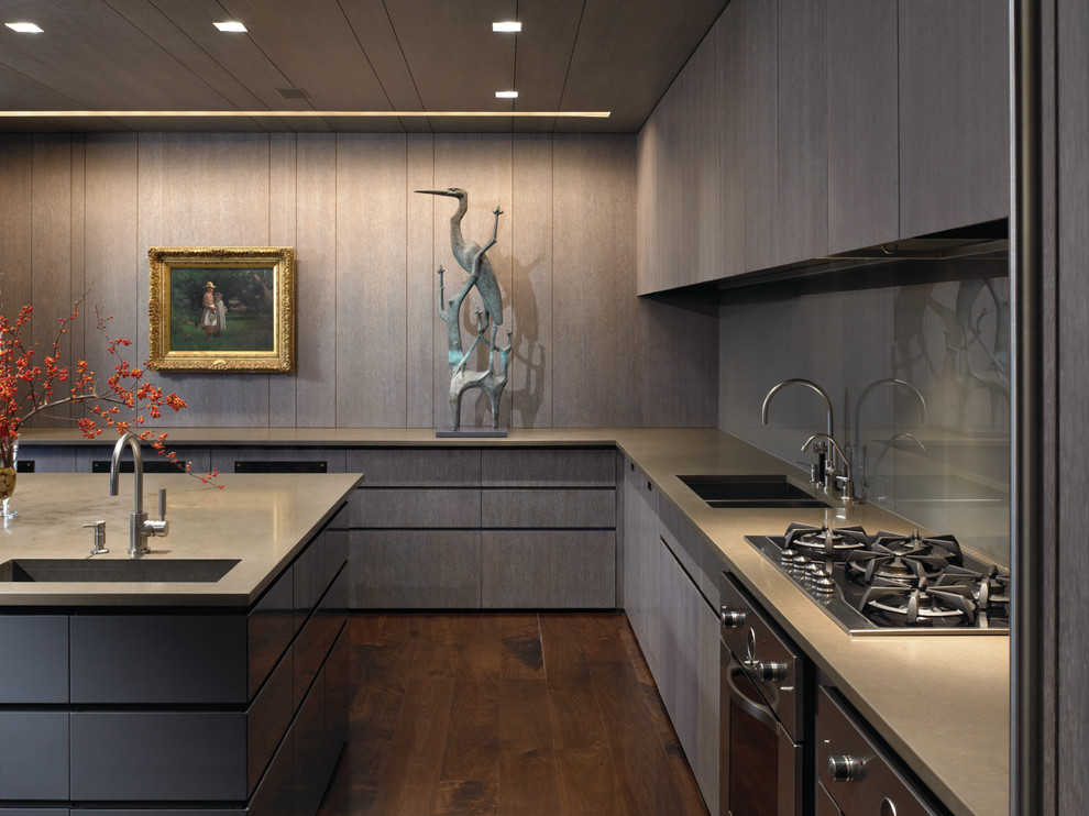 Стильный дизайн: отдельная кухня в современном стиле с врезной мойкой, плоскими фасадами, серыми фасадами, серым фартуком, фартуком из стекла и техникой из нержавеющей стали - последний тренд