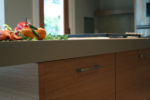 This is an example of a modern kitchen in Portland.