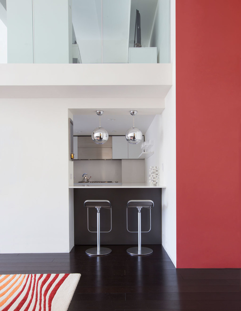 Moderne Küche mit flächenbündigen Schrankfronten in New York