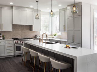 Virginia Gut Remodel - Transitional - Kitchen - DC Metro - by Devon ...