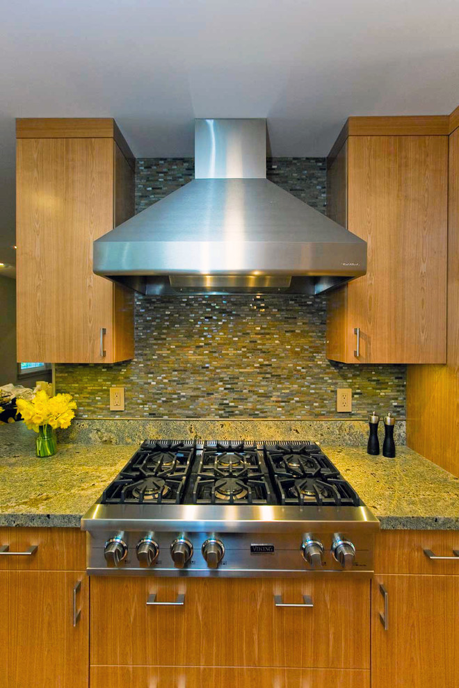 Walker Zanger Backsplash Modern Kitchen San Francisco by Bill