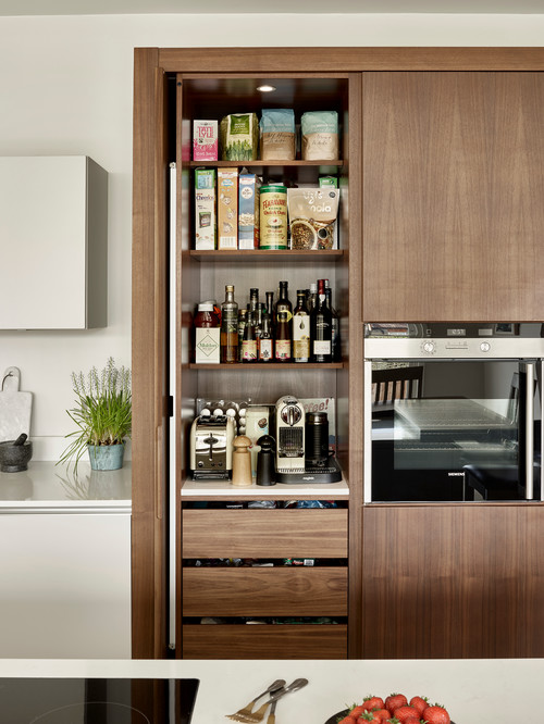 Contemporary Kitchen with Kitchen Storage Cabinet Solutions in Walnut Wood Cabinets