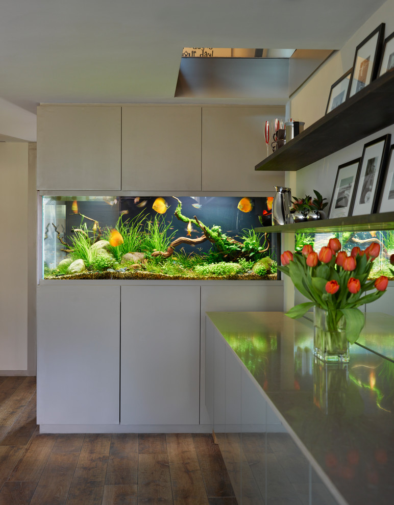 Offene Moderne Küche mit flächenbündigen Schrankfronten, Mineralwerkstoff-Arbeitsplatte, Rückwand aus Spiegelfliesen, bunten Elektrogeräten, braunem Holzboden und Kücheninsel in London