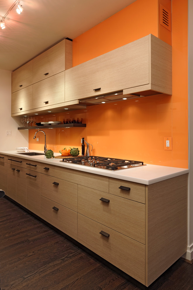 Small trendy galley dark wood floor eat-in kitchen photo in DC Metro with an undermount sink, flat-panel cabinets, light wood cabinets, quartzite countertops, orange backsplash, stainless steel appliances, no island and glass sheet backsplash