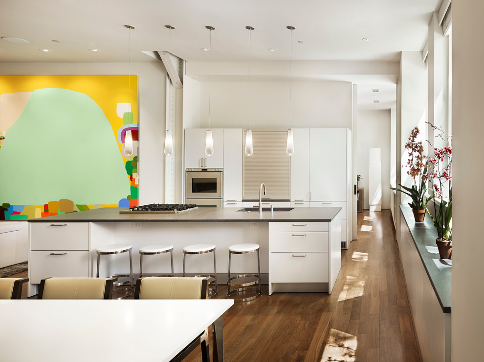 フィラデルフィアにあるモダンスタイルのおしゃれなキッチン (フラットパネル扉のキャビネット、白いキャビネット、シルバーの調理設備) の写真