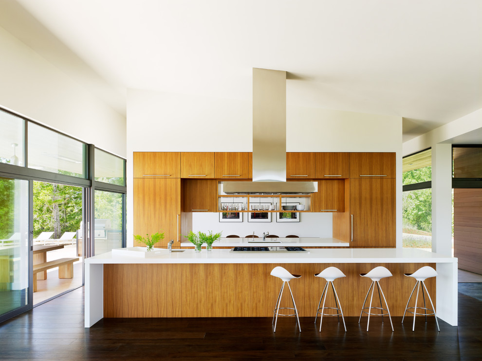 Идея дизайна: параллельная кухня в стиле ретро с обеденным столом, плоскими фасадами, фасадами цвета дерева среднего тона, темным паркетным полом и островом