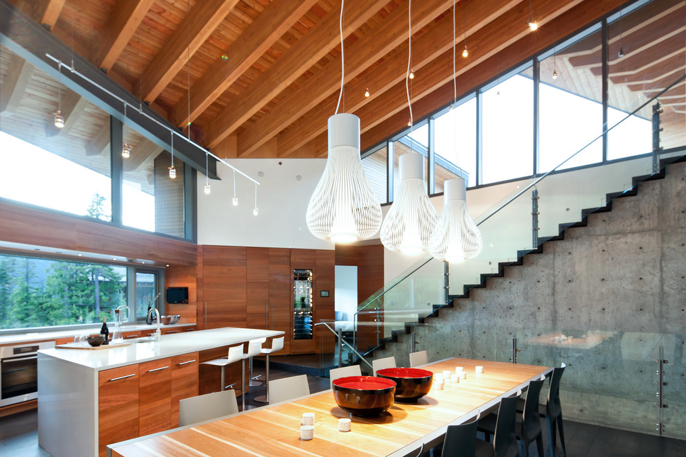 Diseño de cocina minimalista abierta con armarios con paneles lisos y puertas de armario de madera oscura