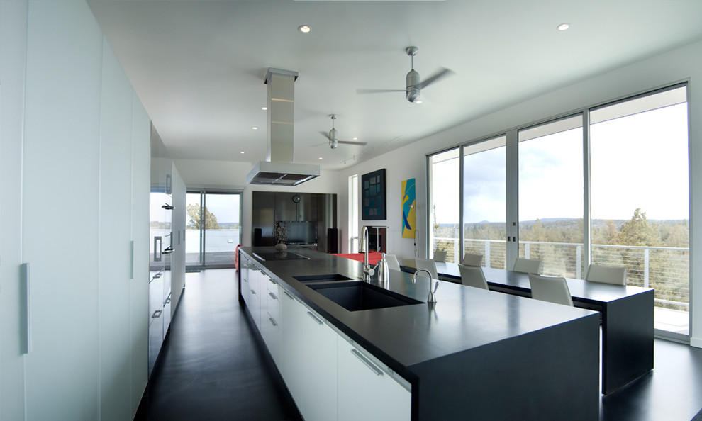 Стильный дизайн: параллельная кухня-гостиная в стиле модернизм с врезной мойкой, плоскими фасадами, белыми фасадами и шторами на окнах - последний тренд