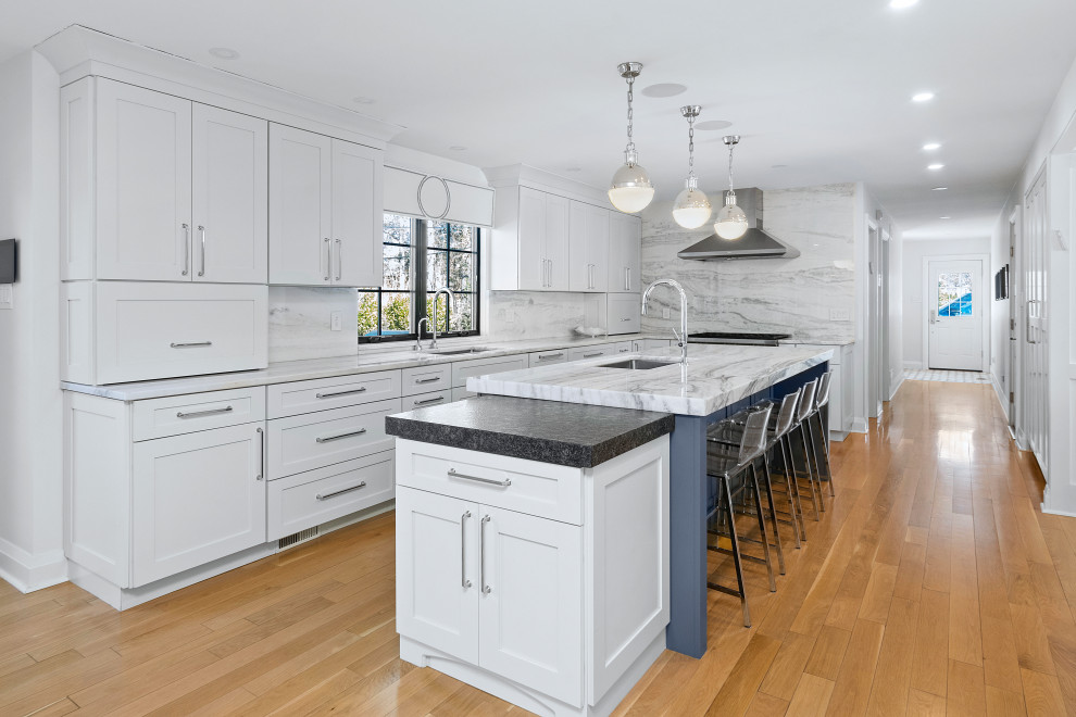 Whole House Interior Renovation in Bala Cynwyd, PA Modern Kitchen