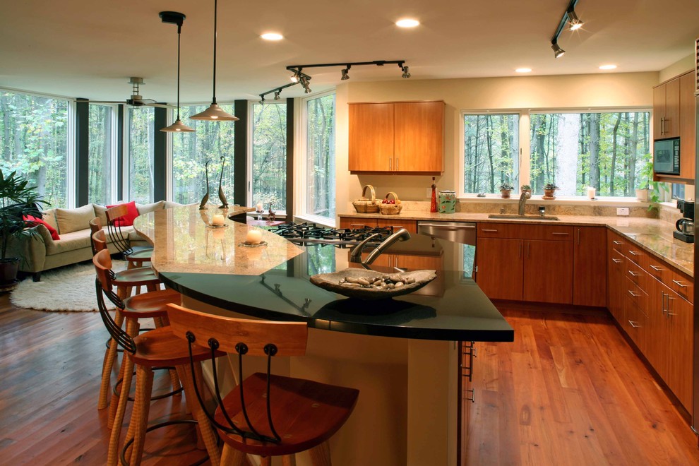 Kitchen - contemporary kitchen idea in Baltimore with granite countertops