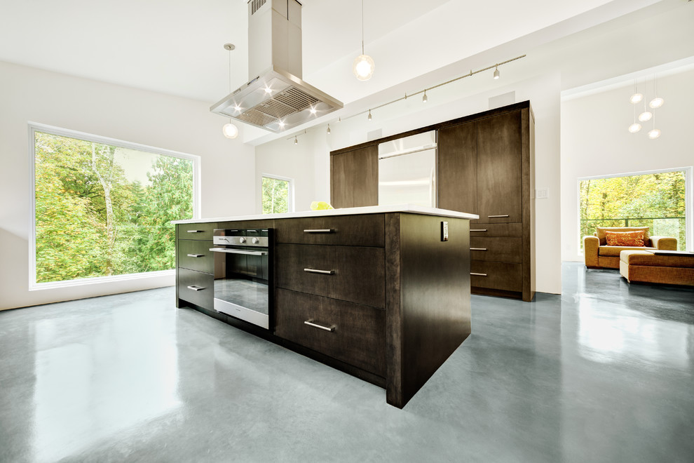 Minimalist kitchen photo in Vancouver with flat-panel cabinets, dark wood cabinets and stainless steel appliances