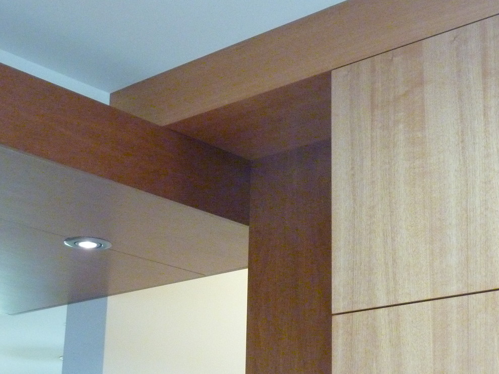 Immagine di una cucina contemporanea con ante lisce e ante in legno scuro