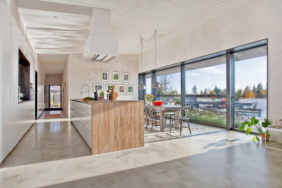 Пример оригинального дизайна: большая параллельная кухня в скандинавском стиле с обеденным столом, столешницей из нержавеющей стали, бетонным полом и островом