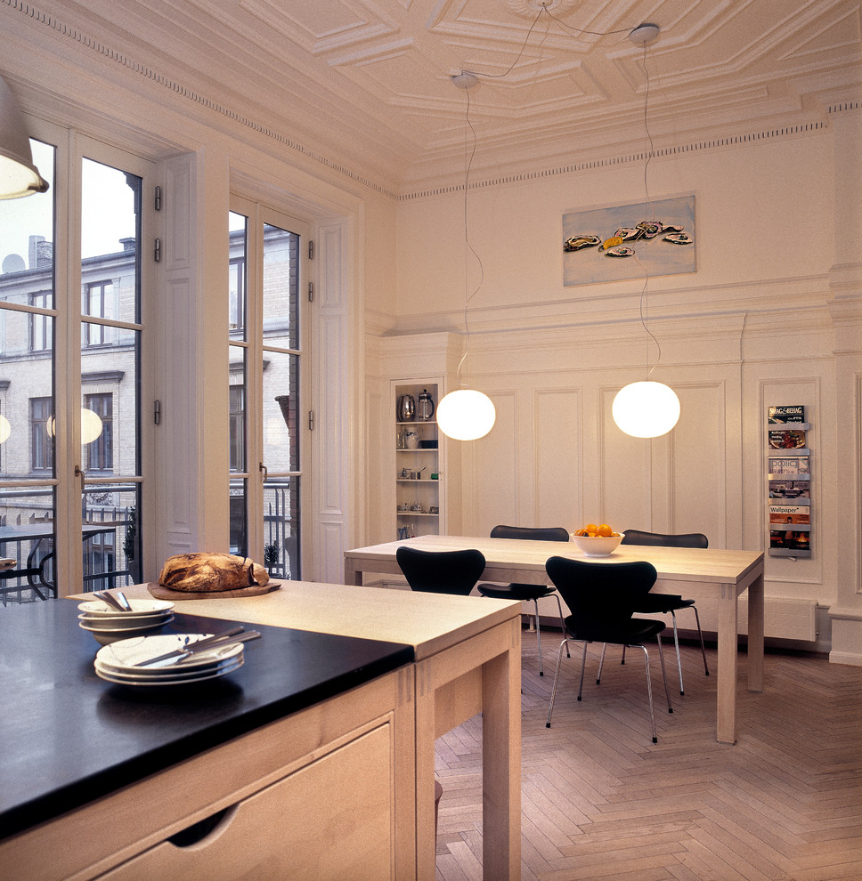 Danish kitchen photo in Copenhagen