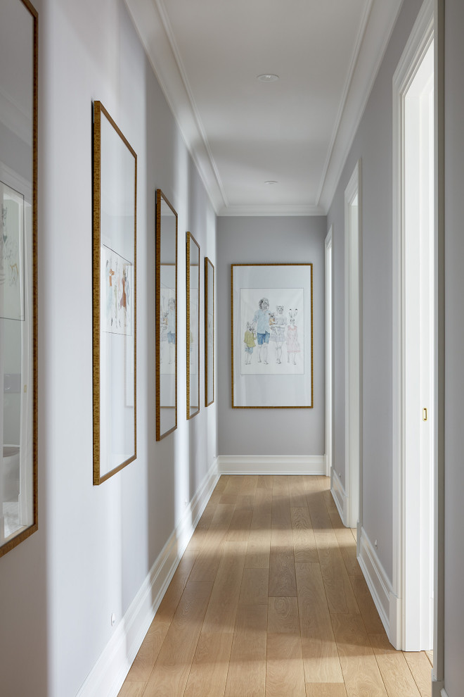 Inspiration pour un couloir design de taille moyenne avec un mur gris, parquet clair et un sol jaune.