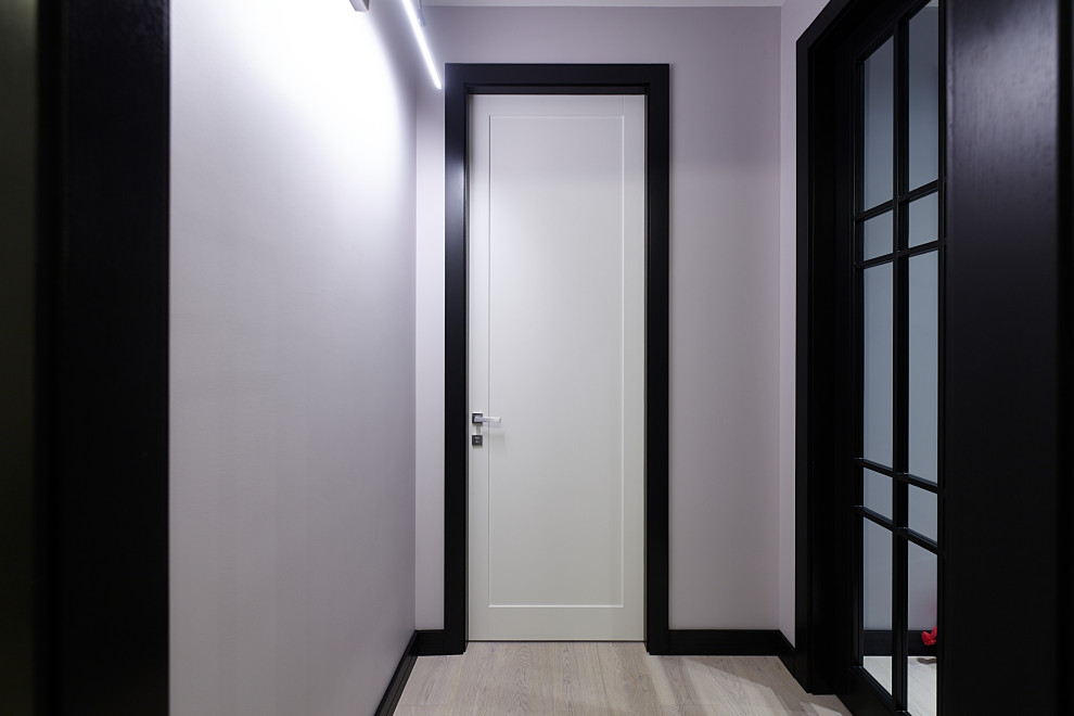 Hallway - mid-sized transitional hallway idea in Moscow