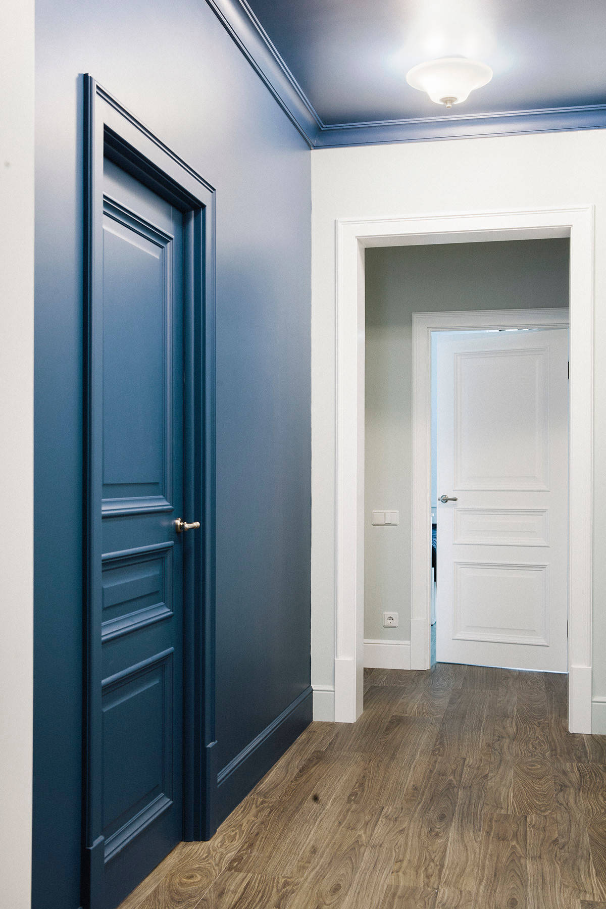 Двери и плинтус – какого цвета выбрать? Примеры проектов