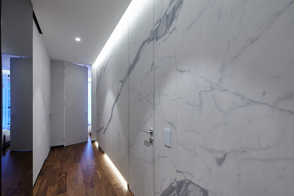 Идея дизайна: большой коридор в современном стиле с полом из ламината и панелями на стенах