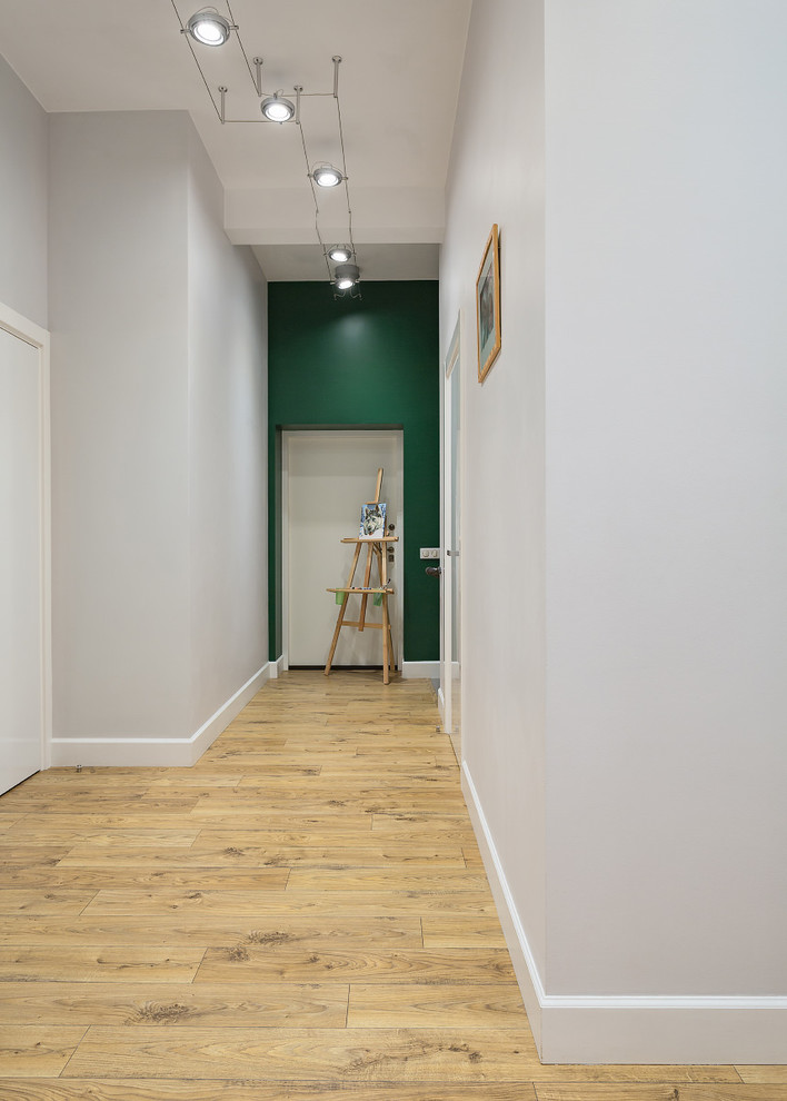 Exemple d'un couloir avec un mur blanc et parquet clair.