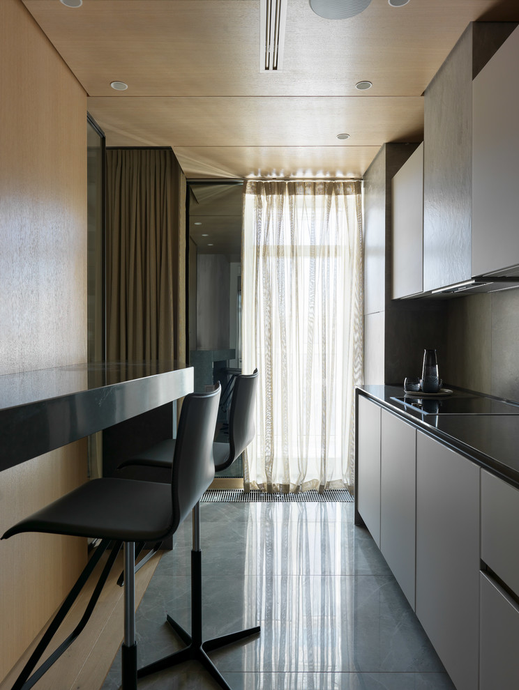 Стильный дизайн: большая, узкая прямая кухня-гостиная в скандинавском стиле с плоскими фасадами, серыми фасадами, серым фартуком, серым полом и черной столешницей без острова - последний тренд