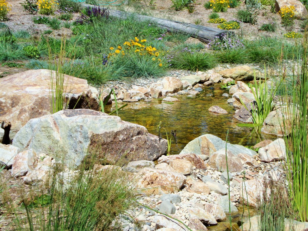 Inspiration for a mid-sized traditional partial sun backyard stone landscaping in San Luis Obispo for spring.