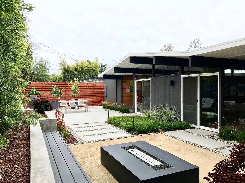 Idee per un giardino xeriscape minimalista esposto a mezz'ombra dietro casa con pavimentazioni in cemento