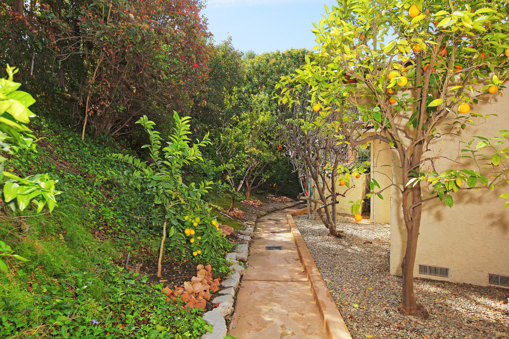 Immagine di un giardino mediterraneo nel cortile laterale