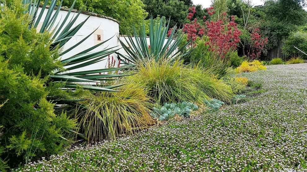 Inspiration for an eclectic landscaping in Other.