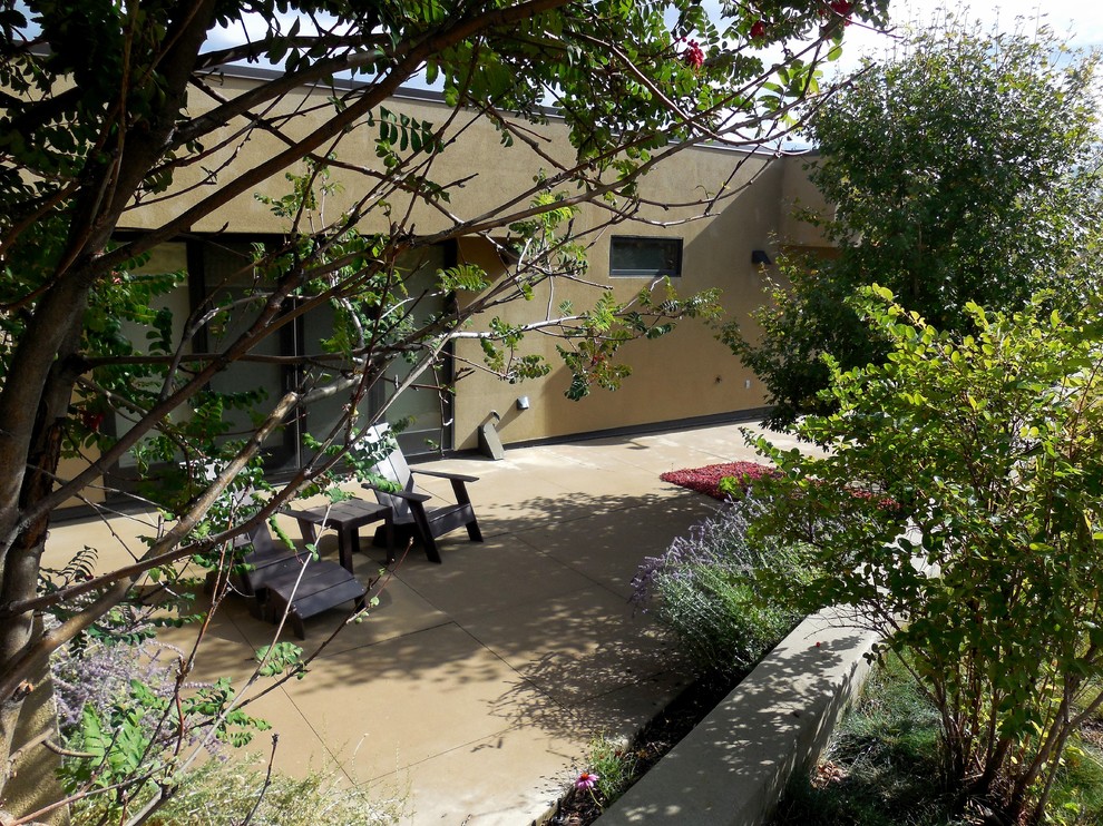 Идея дизайна: летний засухоустойчивый сад среднего размера на внутреннем дворе в стиле модернизм с садовой дорожкой или калиткой, полуденной тенью и мощением тротуарной плиткой