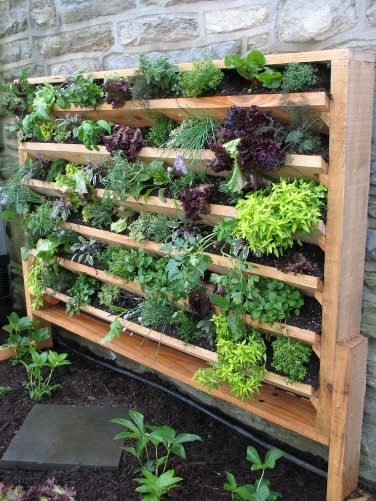 Eclectic garden in Other with a vegetable patch.