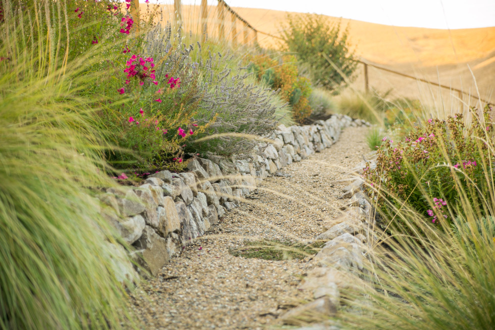 Design ideas for a rustic landscaping in San Francisco.