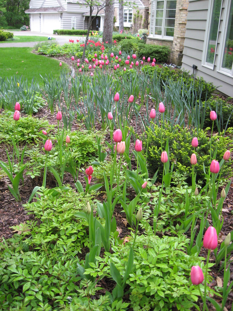 Свежая идея для дизайна: весенний участок и сад на переднем дворе в классическом стиле - отличное фото интерьера