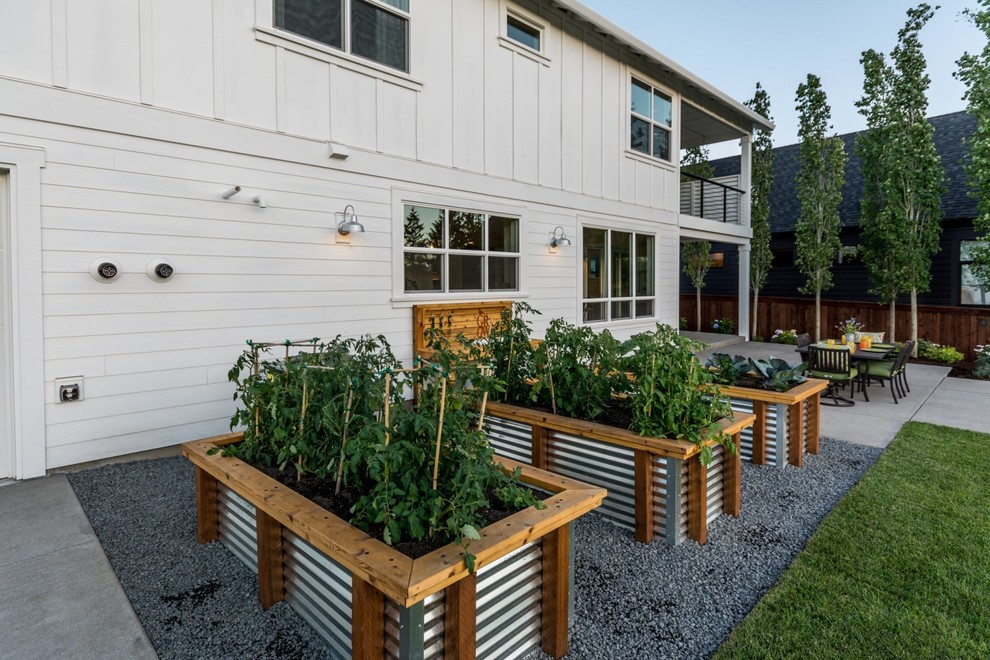 Идея дизайна: участок и сад в стиле кантри с растениями в контейнерах