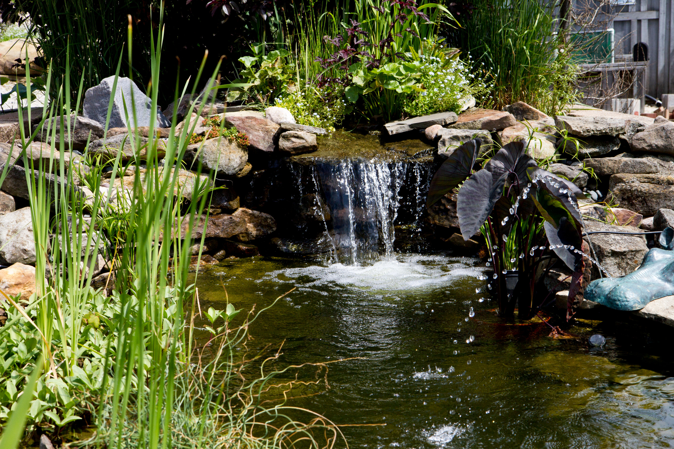 Pond Waterfall Spillway Price library.ecosystem.build