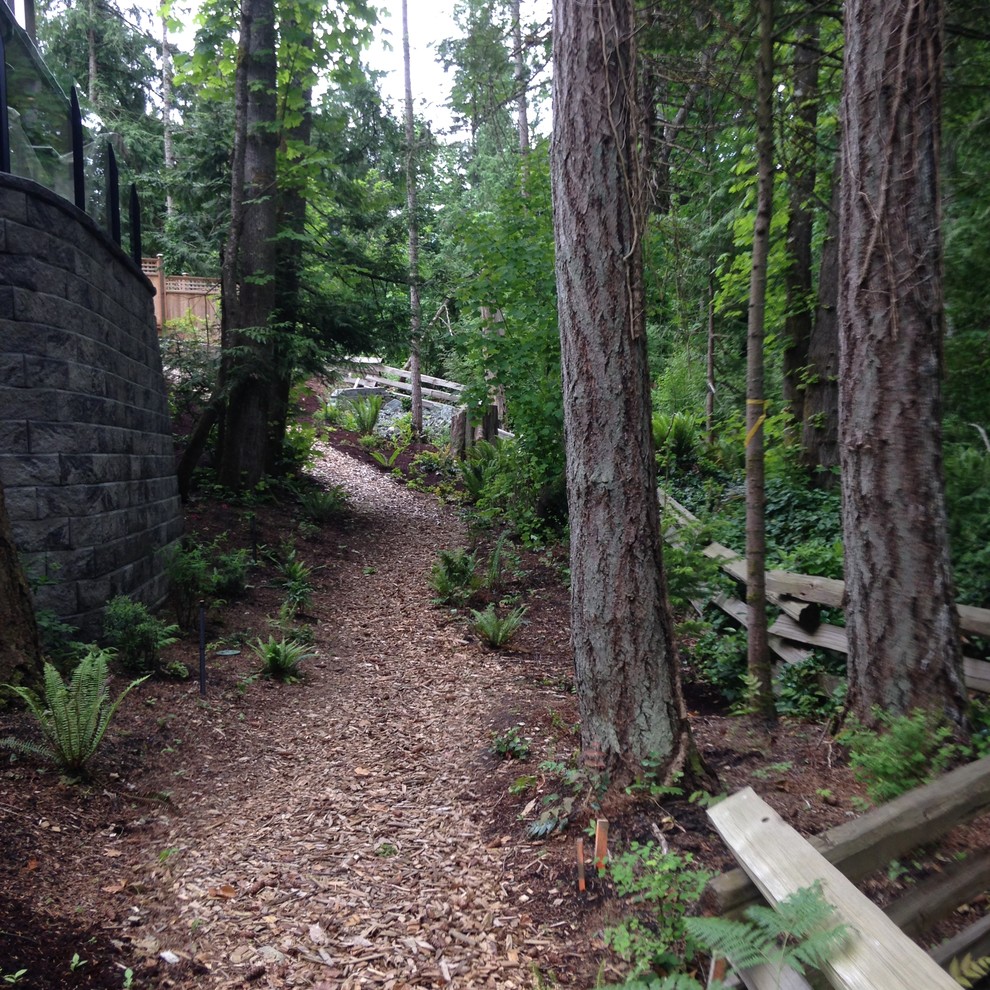 2016 BC Native plants planting a year later Rustic Landscape Vancouver by Innoterra Houzz
