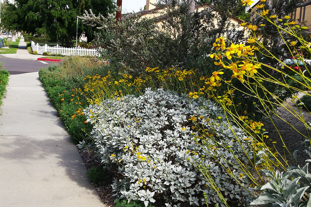 2016 Native Plant Garden Tour Modern Landscape Los Angeles by