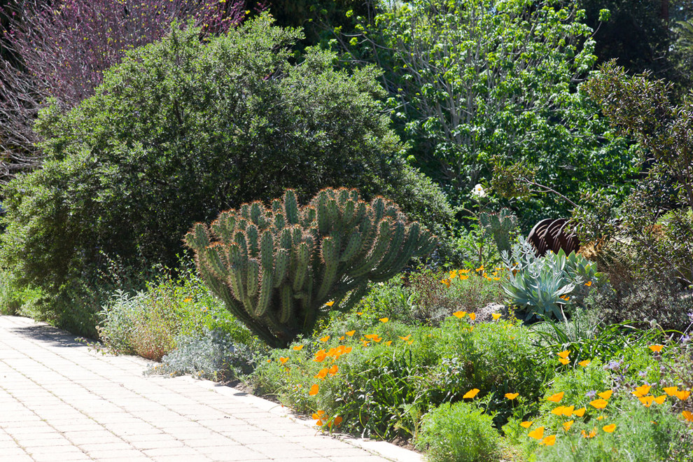 2016 Native Plant Garden Tour Landscape Los Angeles