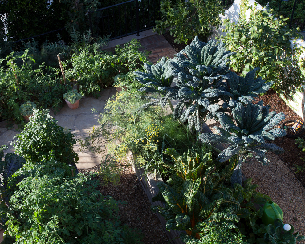 Esempio di un giardino formale mediterraneo esposto in pieno sole di medie dimensioni e in cortile in primavera con un giardino in vaso e pavimentazioni in pietra naturale