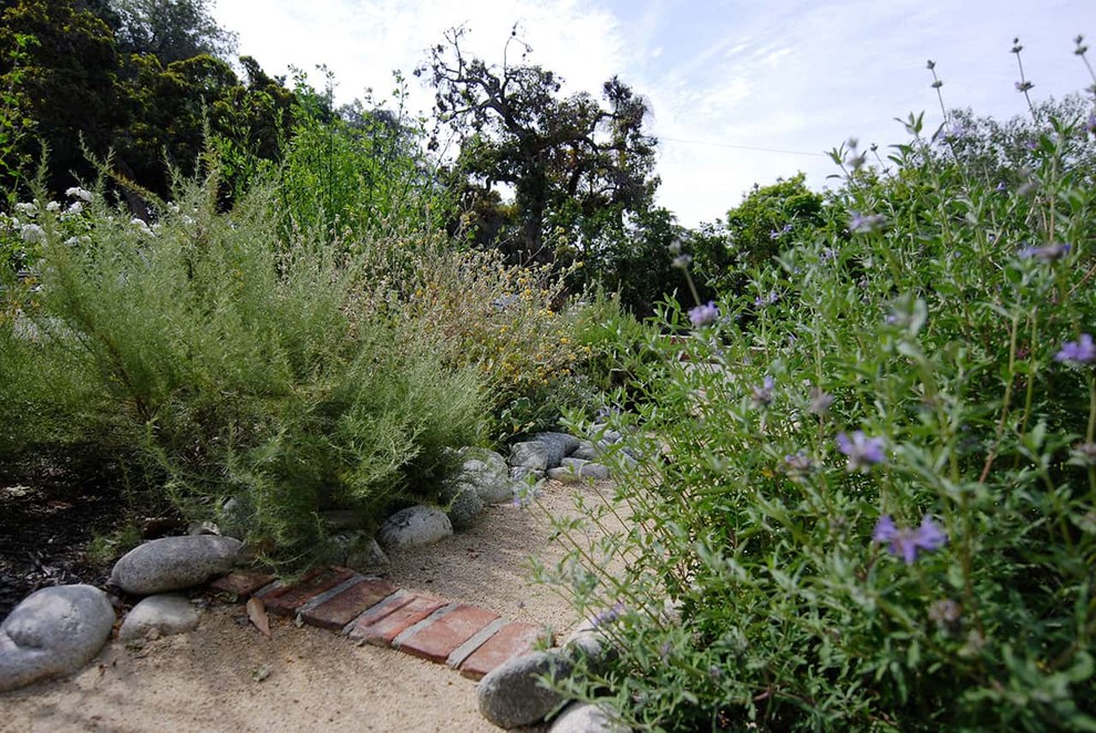 Design ideas for a landscaping in Los Angeles.