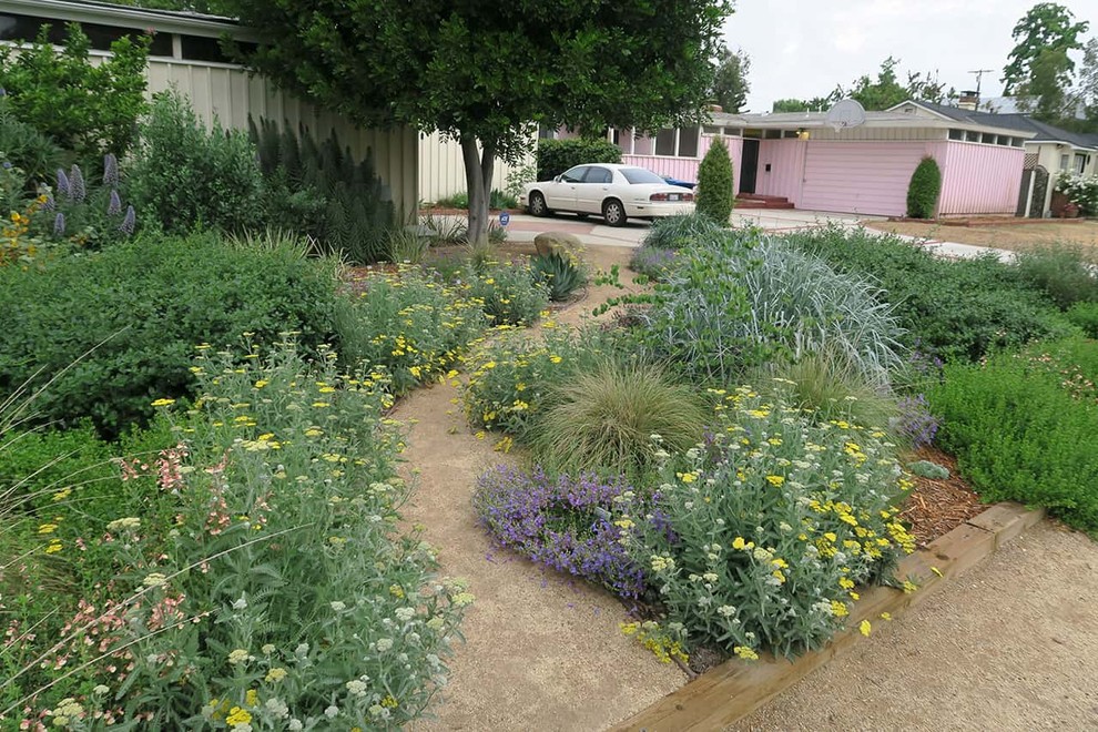 2018 Native Plant Garden Tour Landscape Los Angeles by Theodore