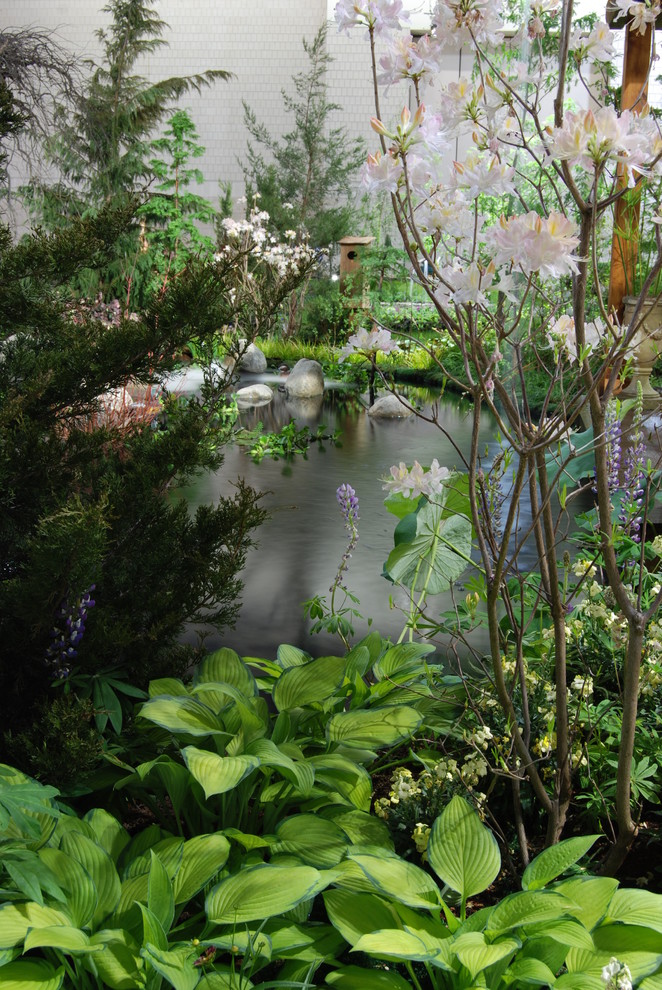 Foto di un laghetto da giardino stile americano dietro casa con pedane