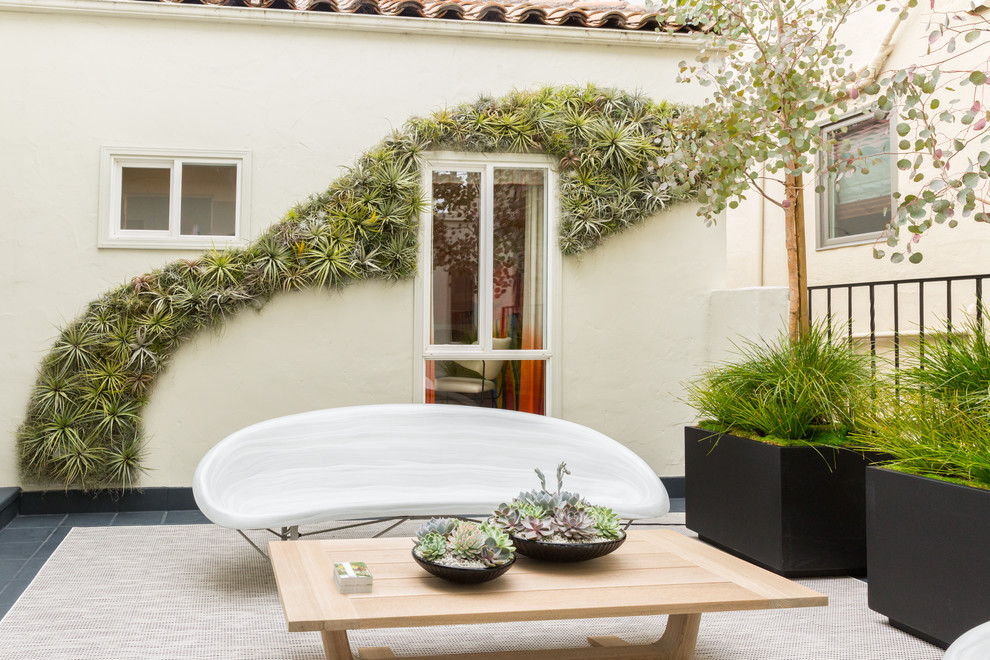 Inspiration for a mediterranean garden in San Francisco with a living wall.