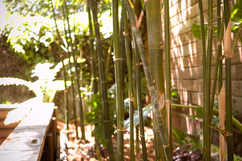 Idee per un giardino minimalista