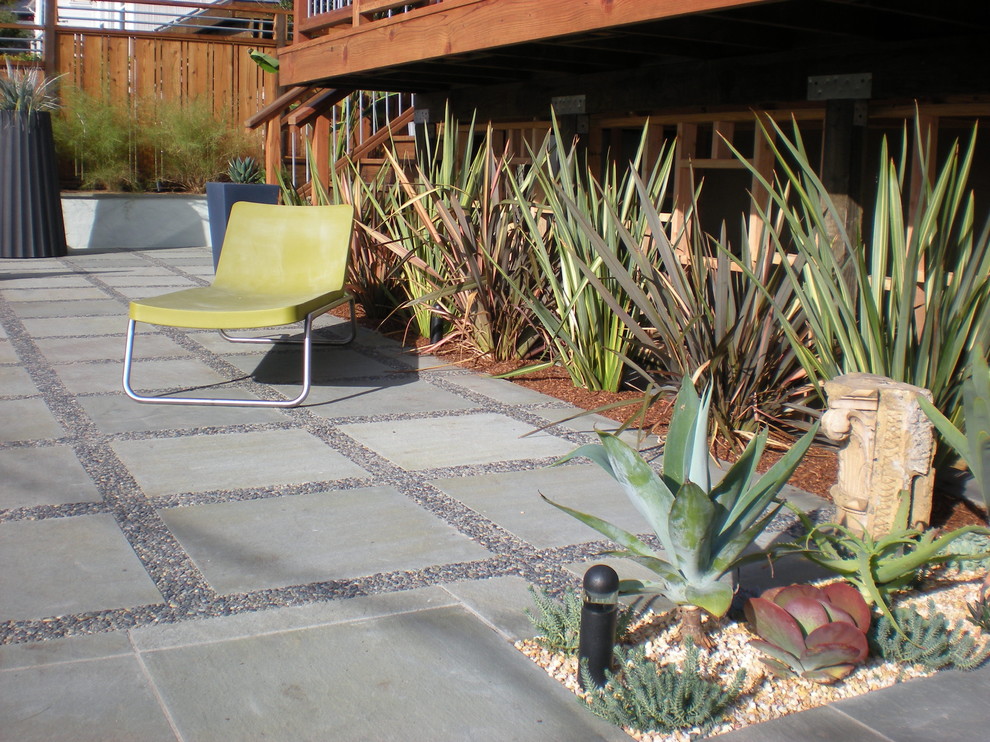 Design ideas for a modern landscaping in San Francisco.