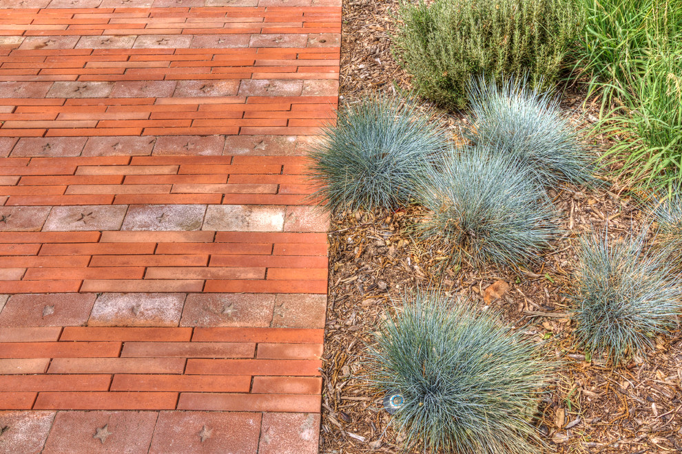 This is an example of a modern landscaping in Dallas.