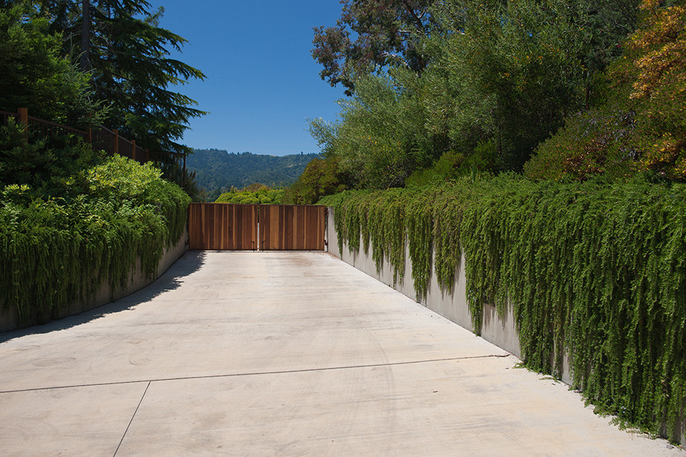Design ideas for a medium sized contemporary side driveway full sun garden in San Francisco with concrete paving.