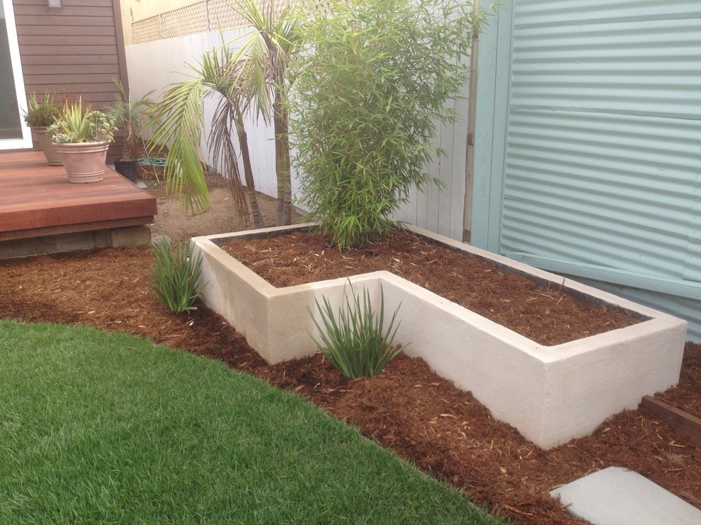 Inspiration for a mid-sized modern shade backyard mulch landscaping in San Diego.