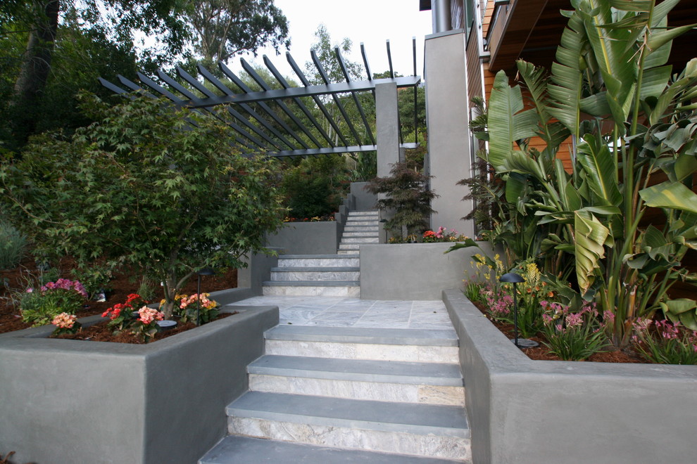 Design ideas for a modern garden in San Diego.