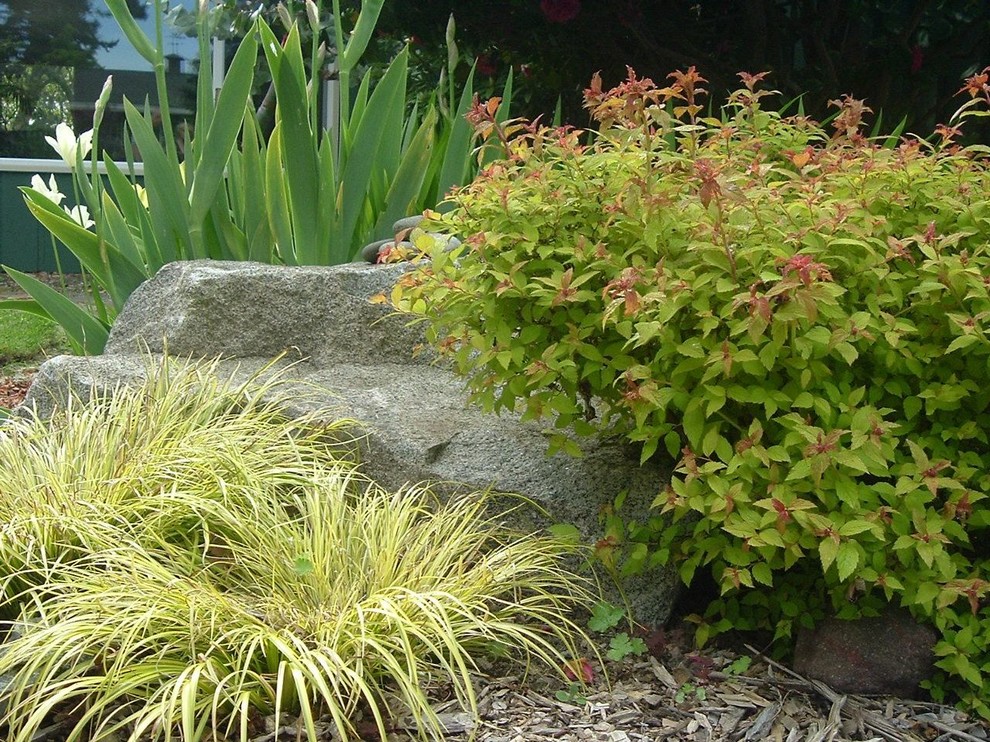 Imagen de jardín de estilo zen en patio delantero con exposición total al sol y adoquines de piedra natural